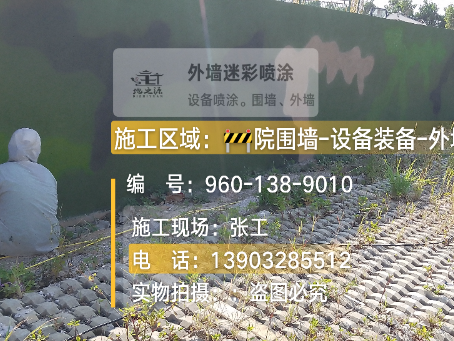 保亭外墙迷彩漆材料价约 45-60 元 /k